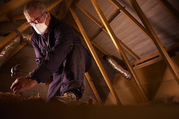 Best Affordable Insulation Services  in Ledgewood, NJ